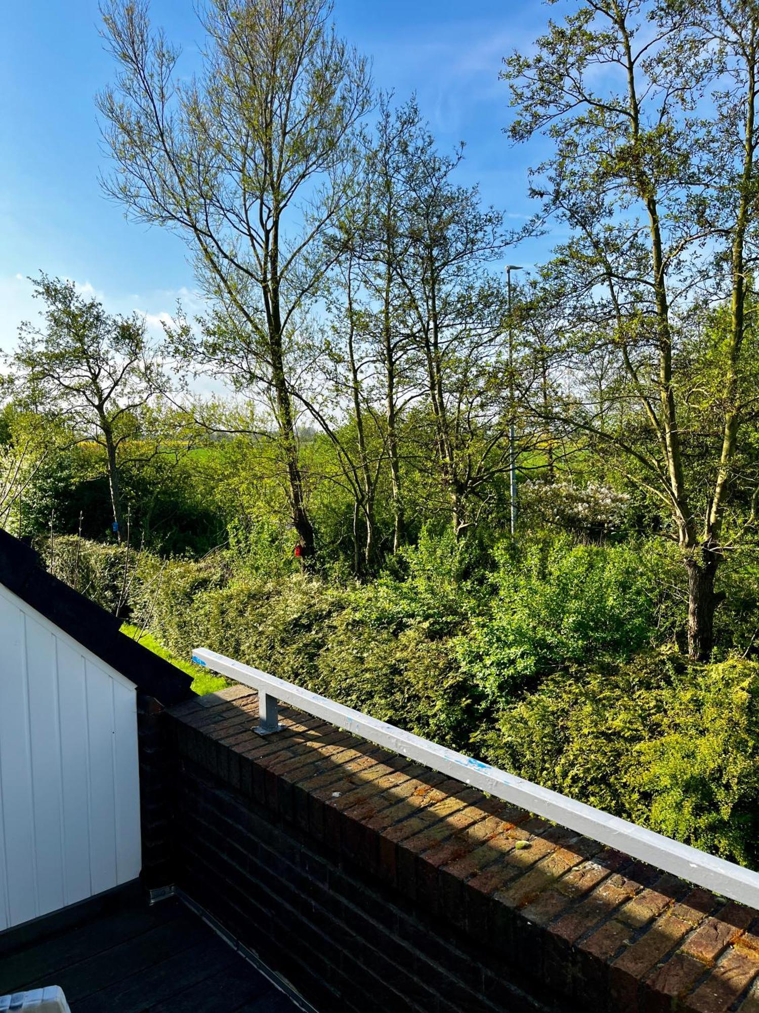 Apartment Bakenweg Fuer Maximal 4 Personen 诺登 外观 照片
