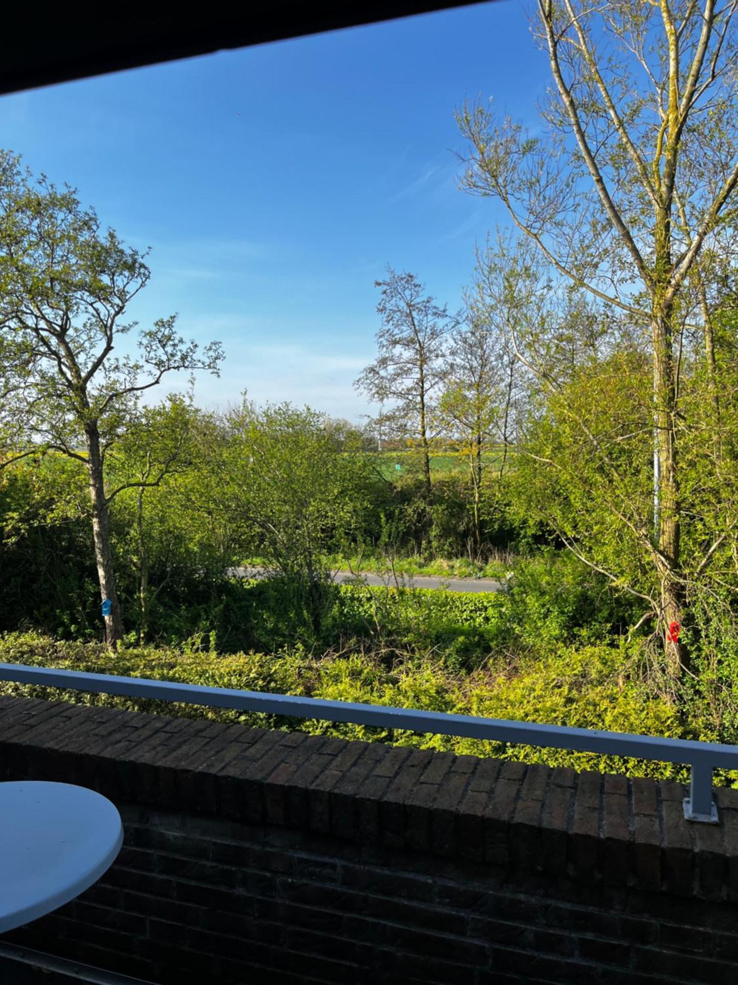 Apartment Bakenweg Fuer Maximal 4 Personen 诺登 外观 照片
