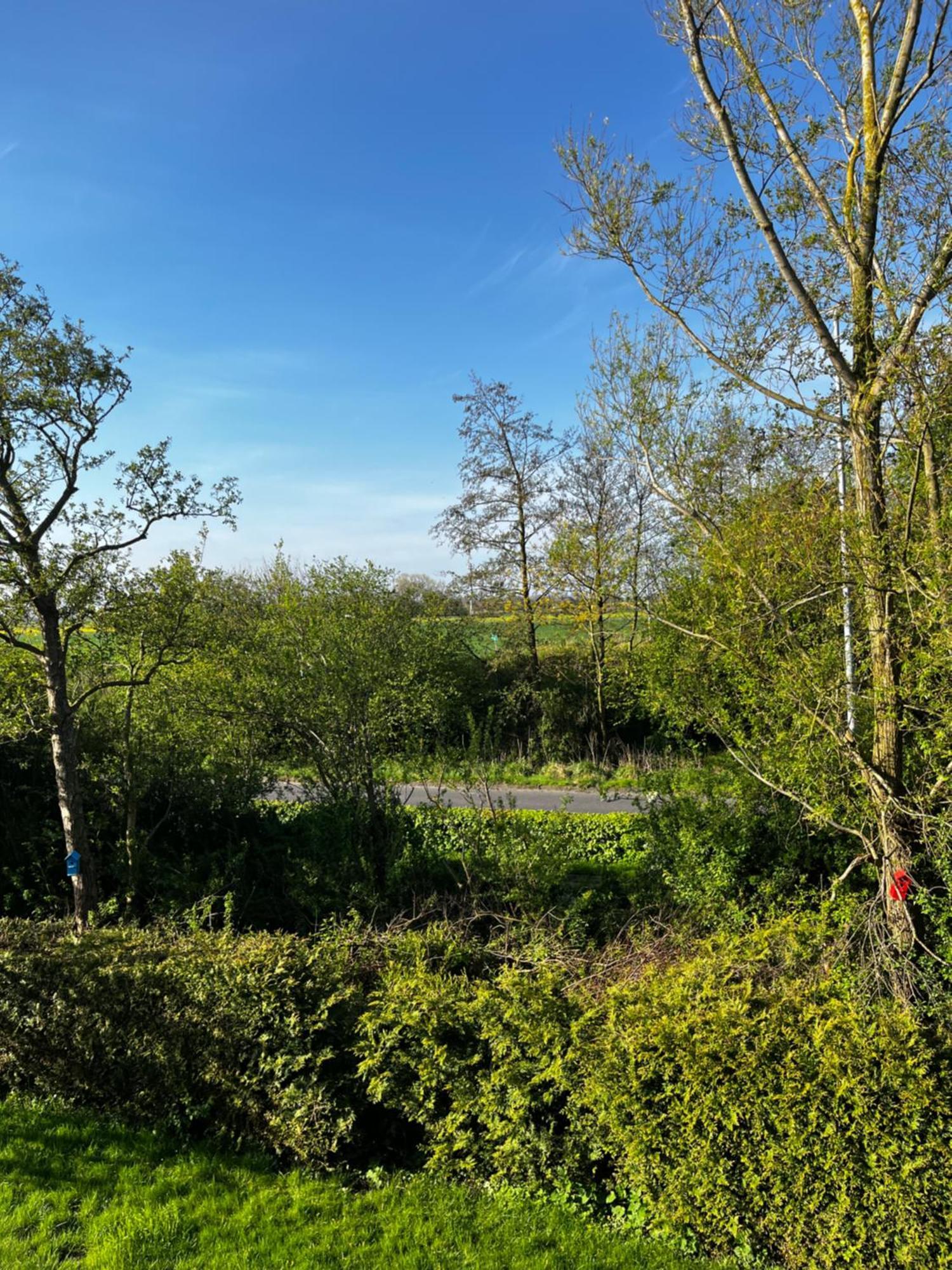 Apartment Bakenweg Fuer Maximal 4 Personen 诺登 外观 照片